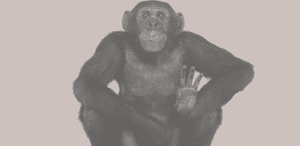 joseph-bacou-300x146