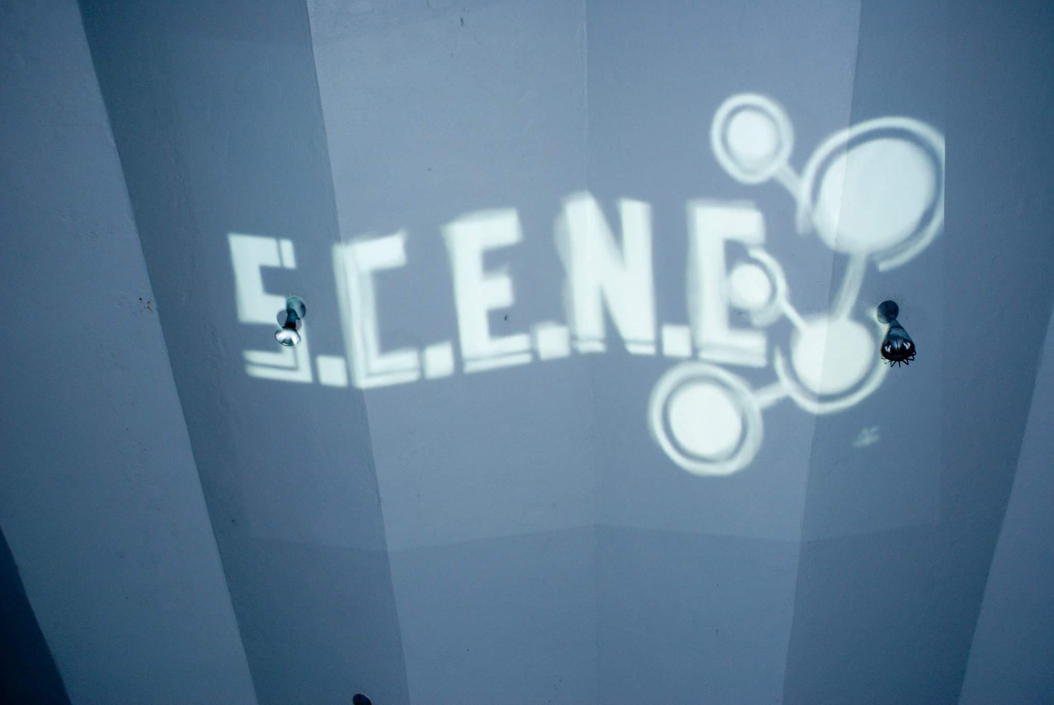 blurry picture simply saying S.C.E.N.E.