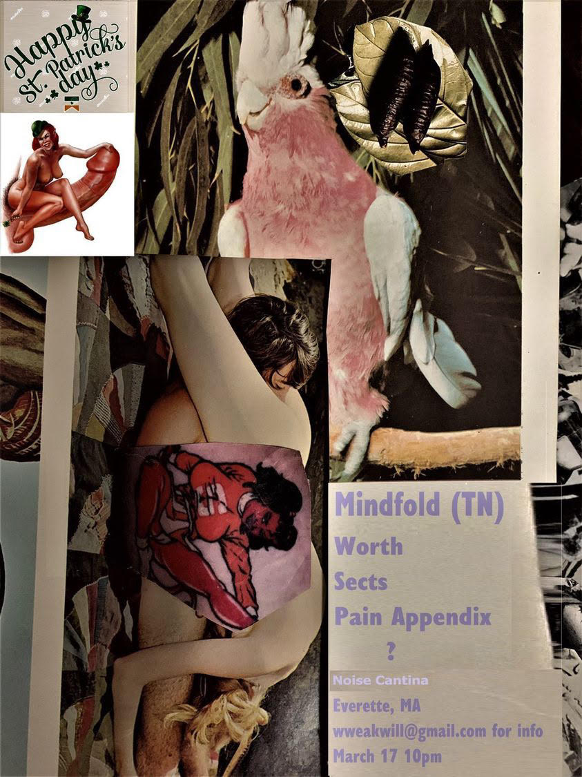 ton of sexual pics piled ontop of each other. someones getting eaten out. someone with huge tits is sitting on a giant dick. collage style. I'm guessing you get the idea. This is a poster